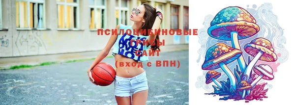 бутират Белокуриха